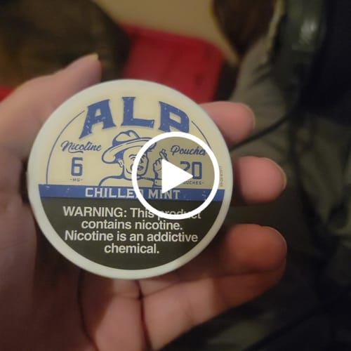 undefined review of Chilled Mint Nicotine Pouches image 1 out of 1