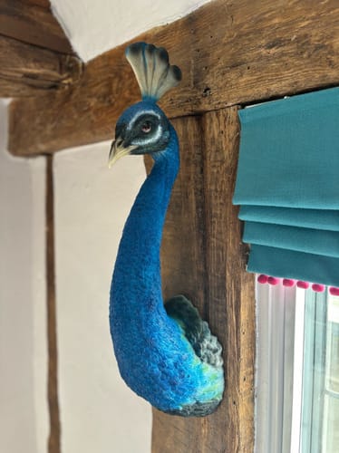 Customer photo review of Peacock Head Wall Figure