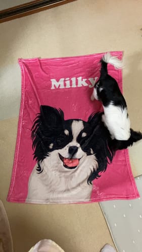 Customer photo review of Petcanva©オーダーメイド ブランケット