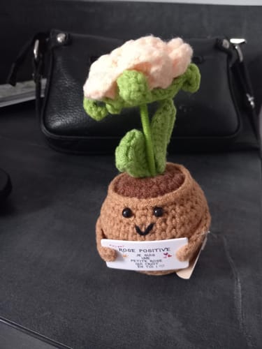 Customer photo review of ROSE CHAMPAGNE