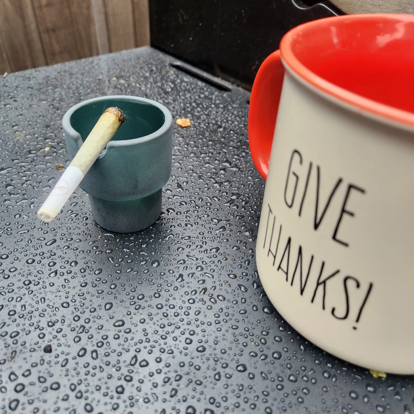 Customer photo review of Flower Pots Ashtray Set