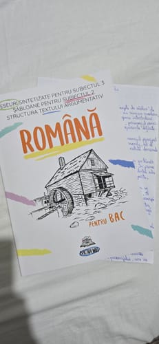 Recenzie cu fotografie de la un client despre Carte Română Bacalaureat Bacademia (temă și viziune, caracterizare, relație) - Ediția II