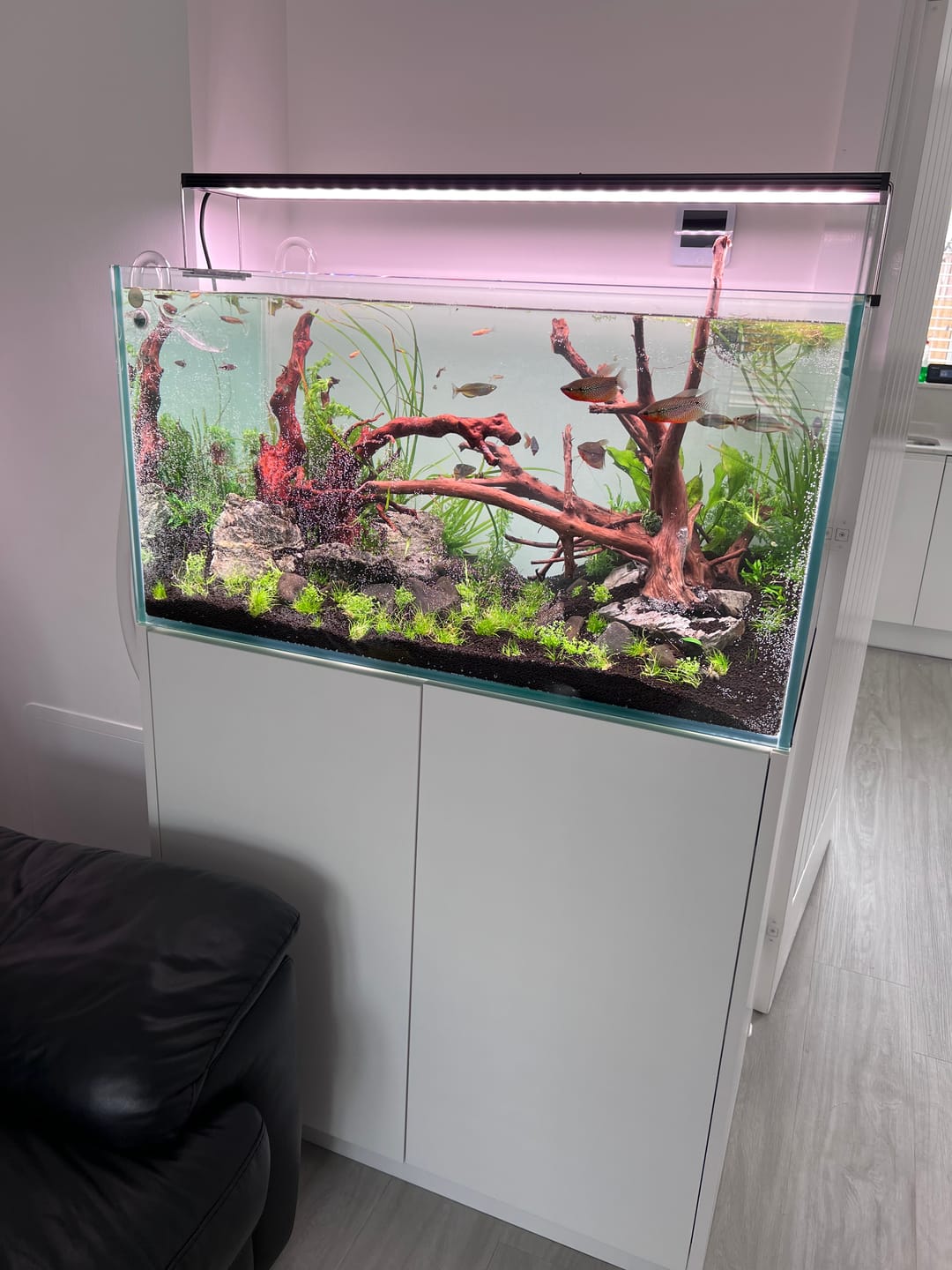 Customer photo review of Chihiros WRGB II Pro LED Light