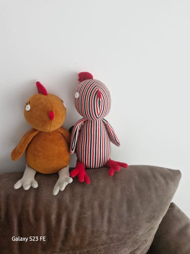 Customer photo review of FRANÇOIS, LE COQ - VIVE LA FRANCE