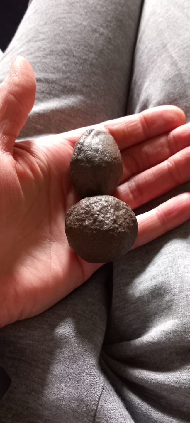Customer photo review of Moqui Marbles Paar | Lebende Steine | Heilsteine