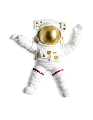 Customer photo review of Floating Astronauts