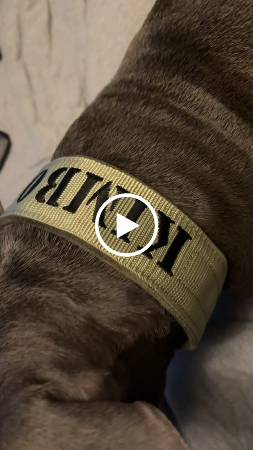 Customer video review of Helstryp halsband med namn