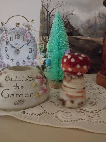 Customer photo review of Sophie Wheatley's Felted Fungi Supplies Box