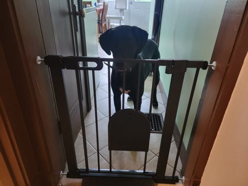 Customer photo review of FairyBaby Premium Quality Baby Gate with Cat Door