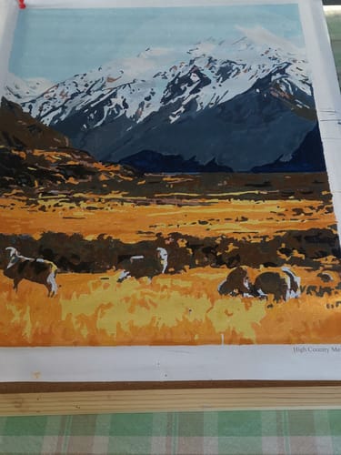 Customer photo review of High Country Merinos