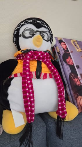 Customer photo review of Friends Penguin Hugsy Doll Plush Toy