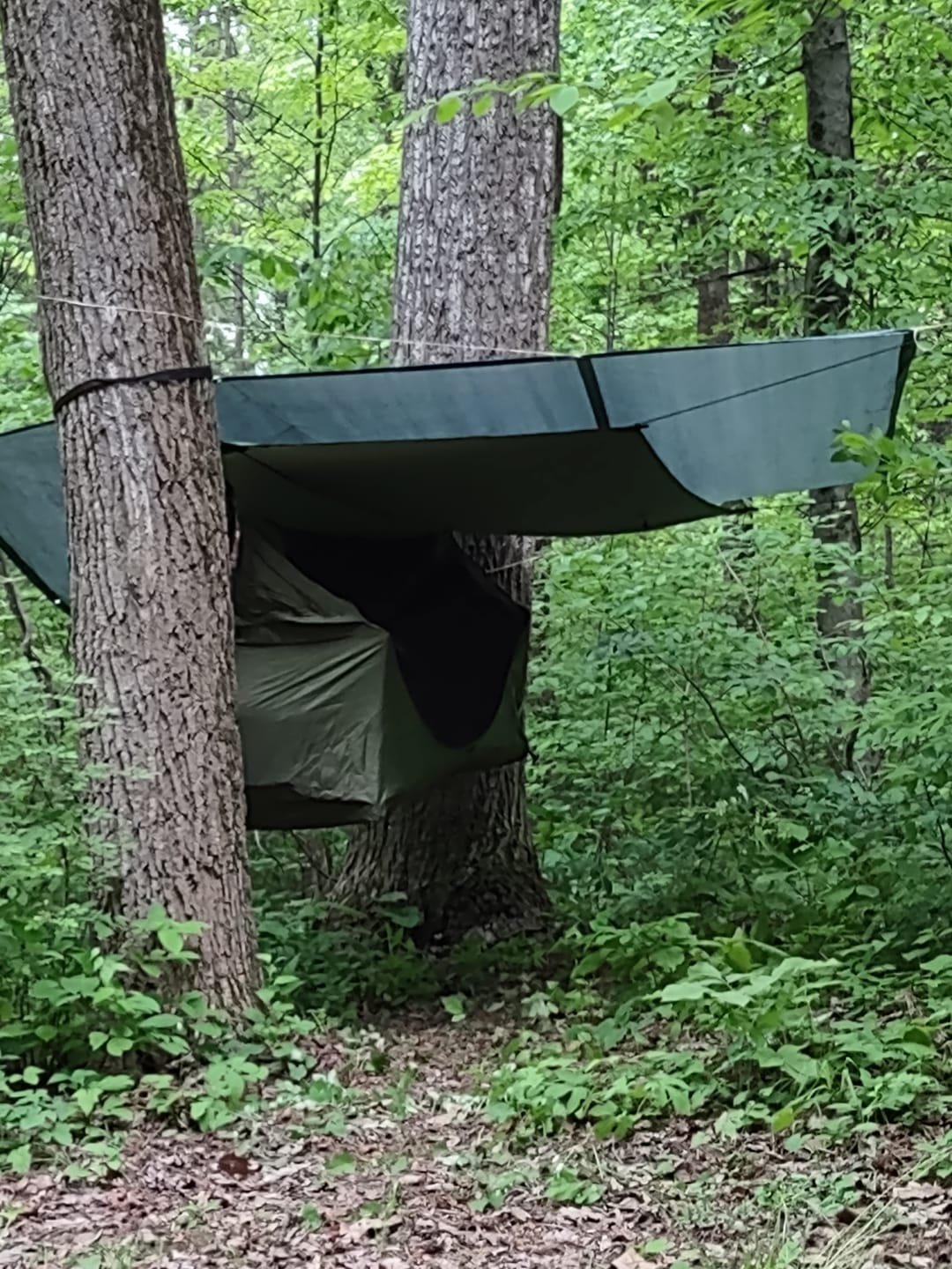 Customer photo review of Haven Insulated Pad Cover