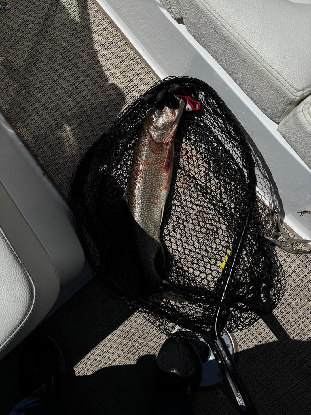 Customer photo review of Peanut Bunker STINGNOSE™ Jigging Spoons