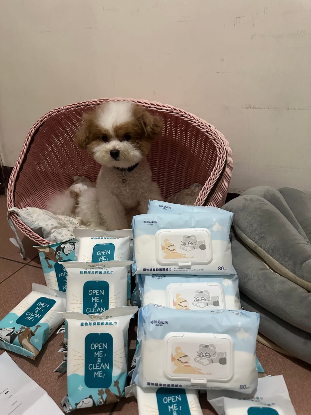 Customer photo review of 寵物除臭抑菌濕紙巾