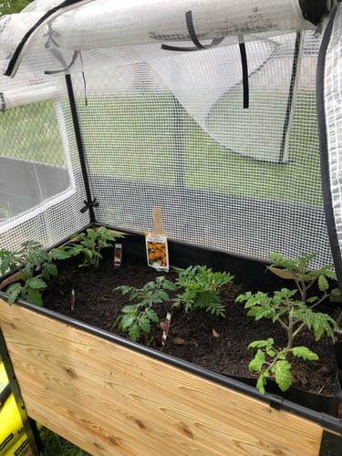 Customer photo review of Greenhouse Cover