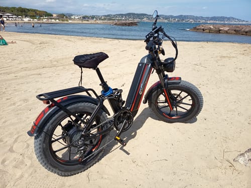 Customer photo review of CMACEWHEEL V20 750W 20" Fat Bike 960Wh Full Suspension E-bike with Torque Sensor 48V 20Ah Battery
