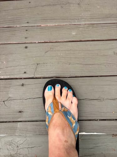 Customer photo review of Golden Retrievers