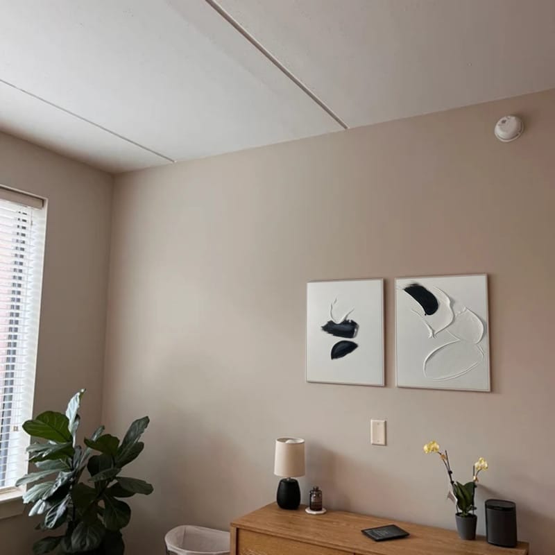 Customer photo review of White and Black Minimalist Textured Canvas Set of 2 #MT049