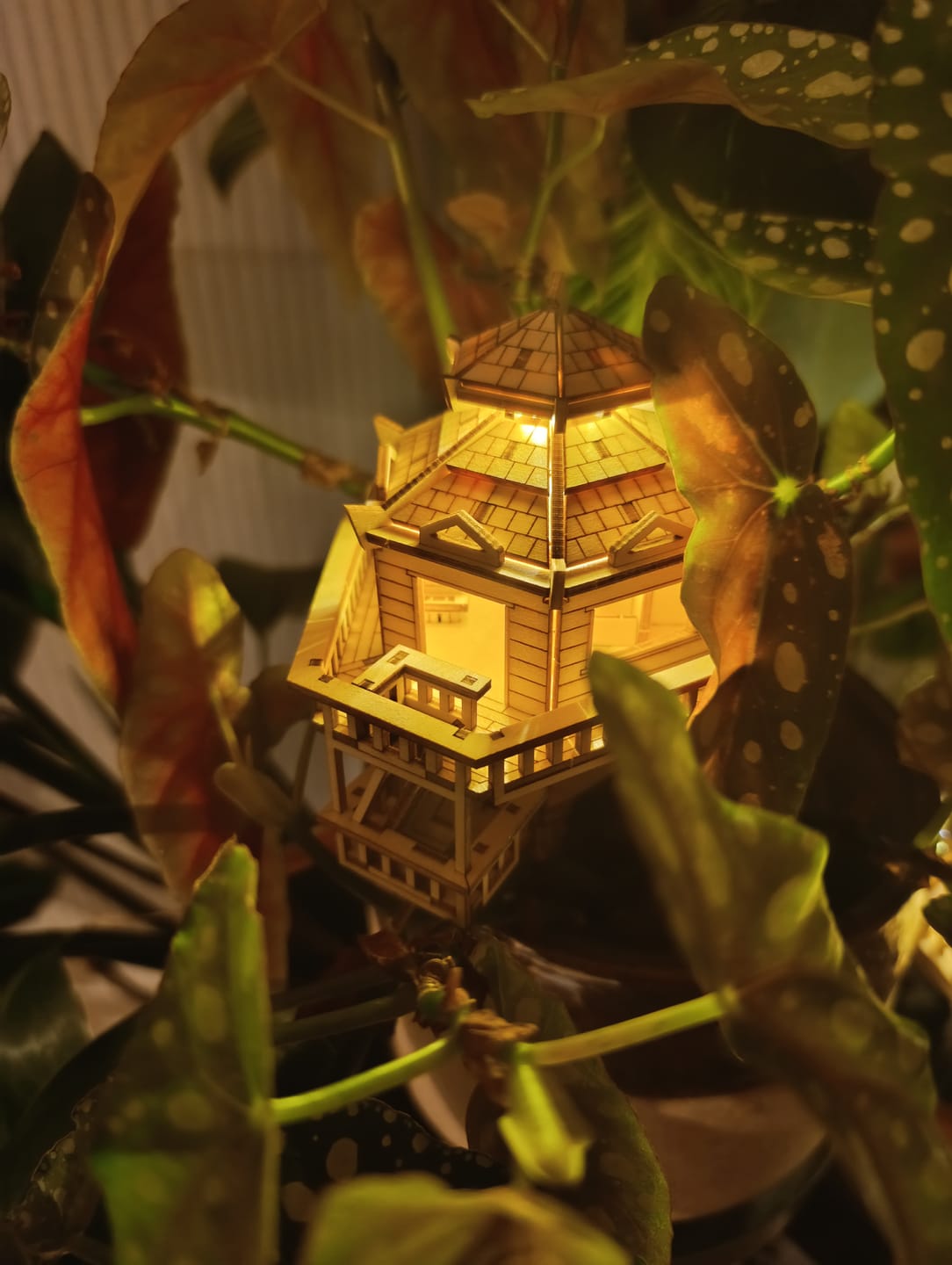 Customer photo review of Woodland Outpost