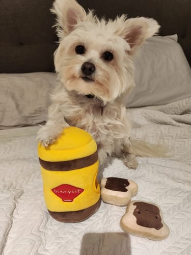 Customer photo review of TWOMOODLES BURROW DOGEMITE WITH MINI TOASTS