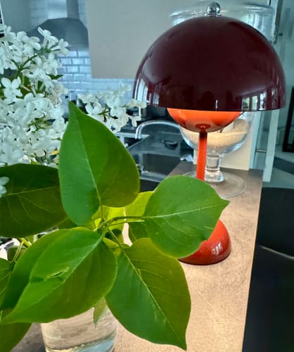 Customer photo review of Bordslampa - Svamplampa Flowerbud - Batteridriven 5000 mAH