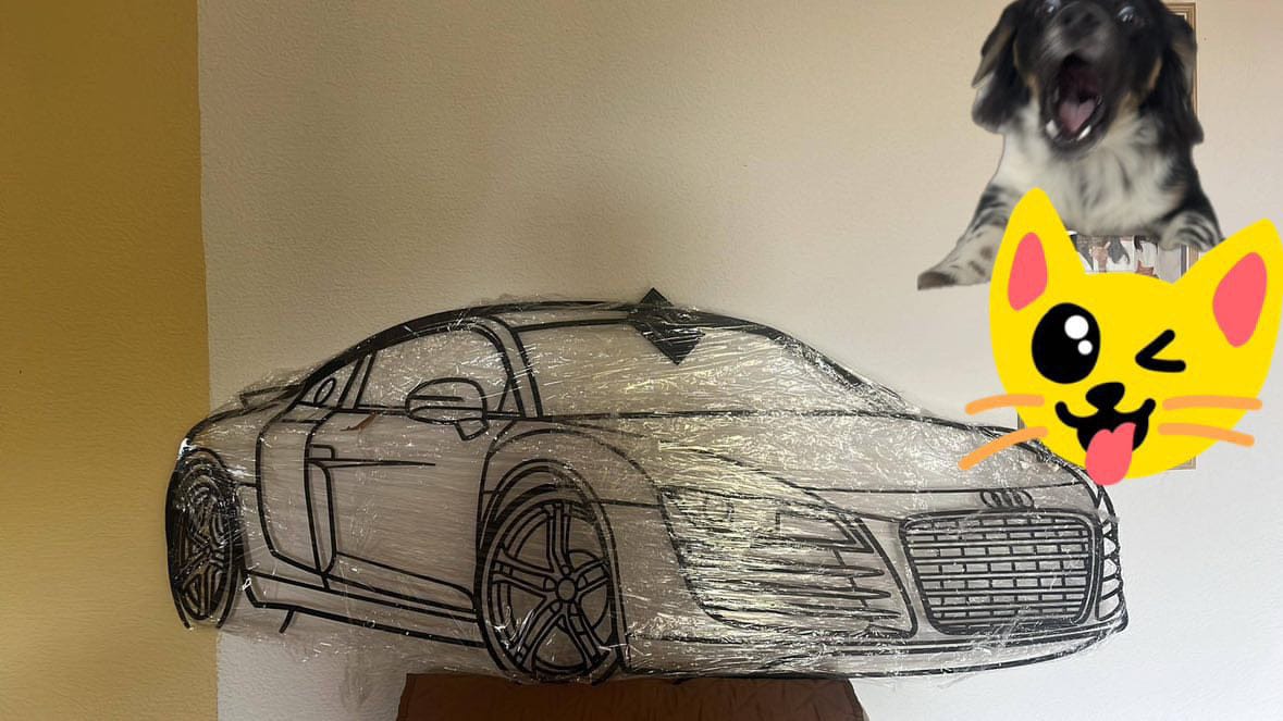 Customer photo review of CUSTOM CAR SILHOUETTE