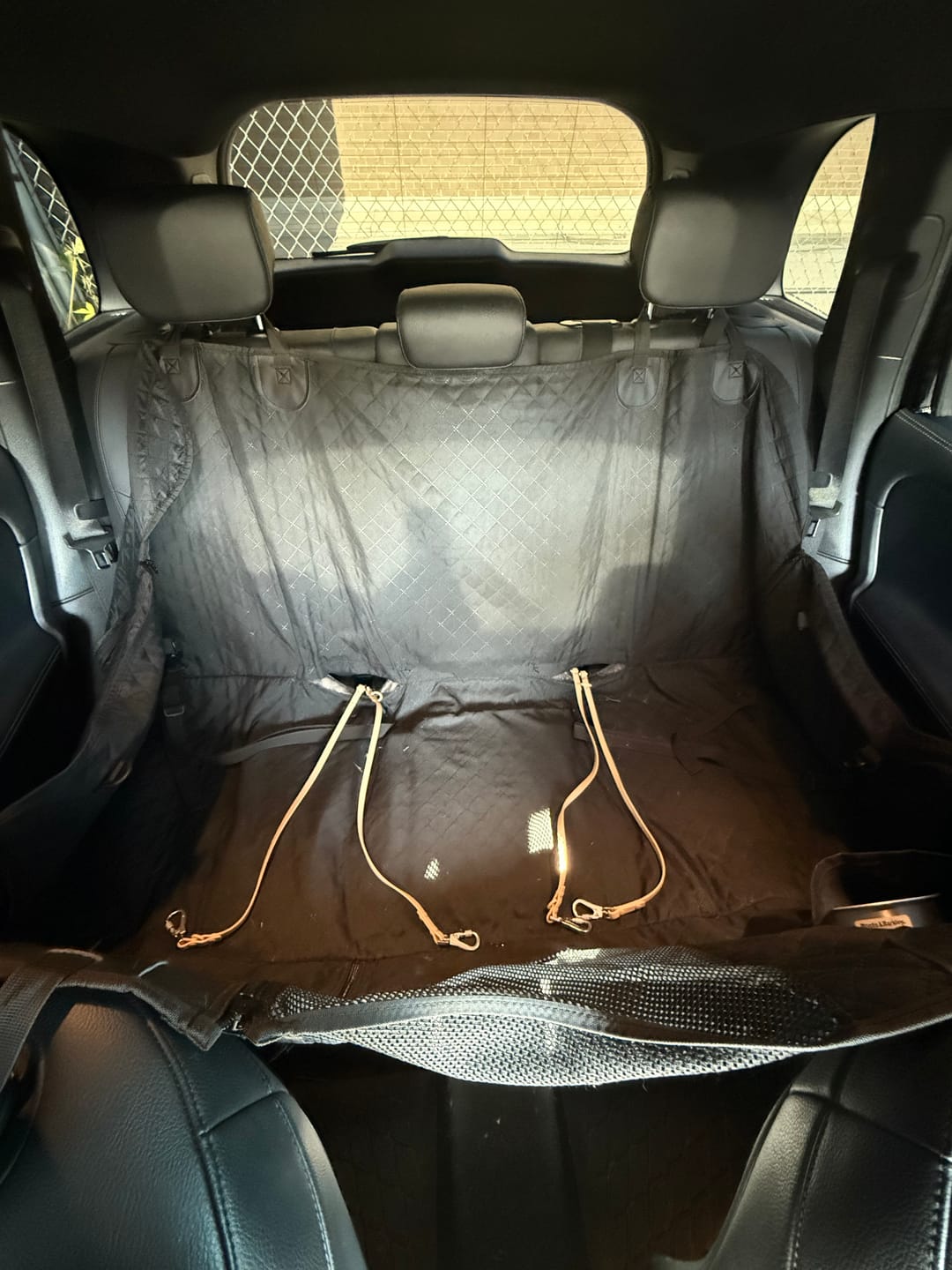 Customer photo review of Solace Waterproof Multi-Dog Connector / Traffic Handle