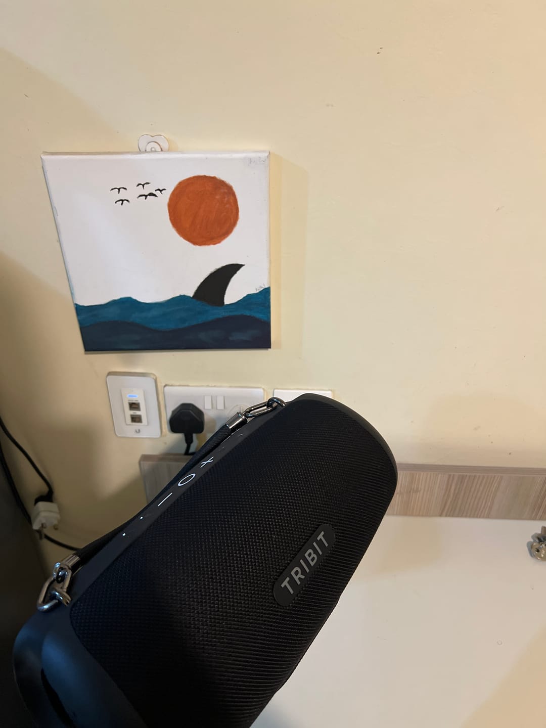 Customer photo review of TRIBIT StormBox Lava Portable Bluetooth Speaker