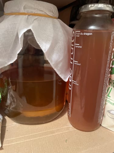 Customer photo review of BIO Kombucha-Starterset: Vollausstattung mit Premium Scoby