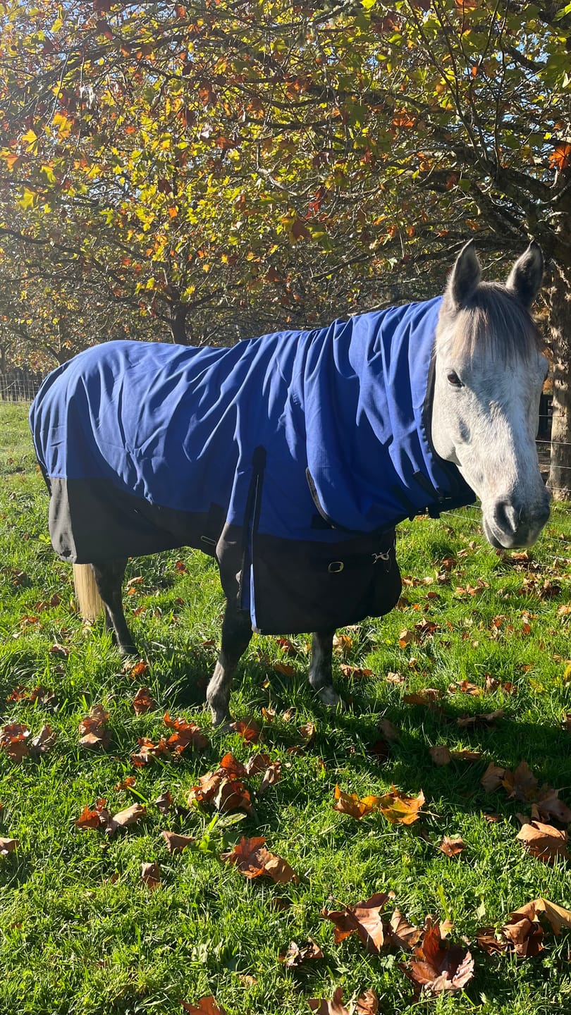 Customer photo review of Duke 1200D Combo