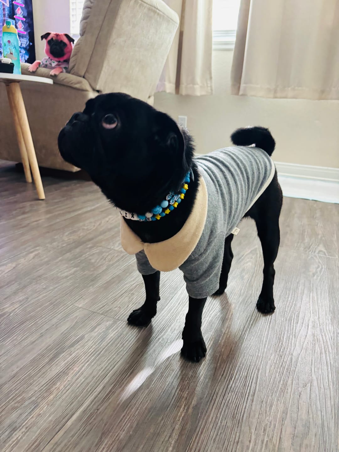 Customer photo review of Terry Collar T-shirt (3 colors)