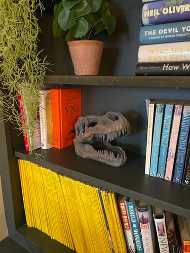 Customer photo review of Tabletop T-Rex Skull
