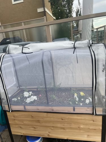 Customer photo review of Greenhouse Cover