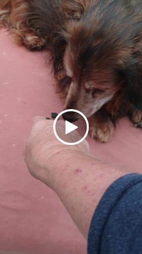 Customer video review of Long Life