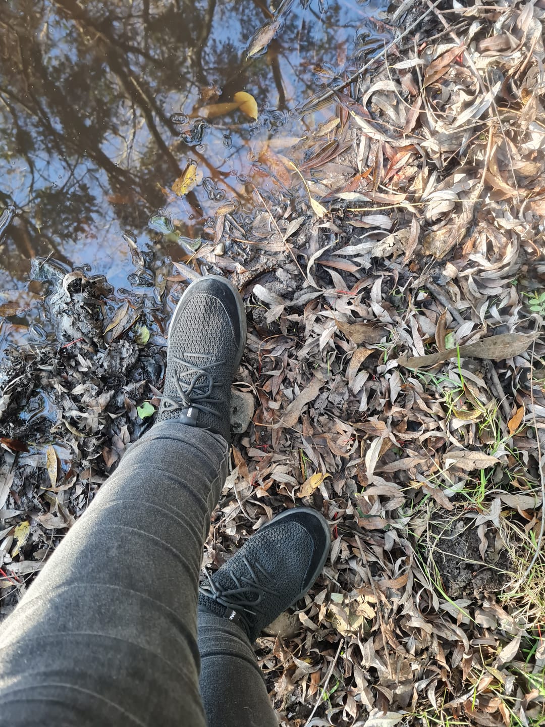 Customer photo review of Zapatilla Versaknit Negro Unisex