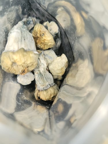Customer photo review of Non Detect Mushrooms - 50% Off