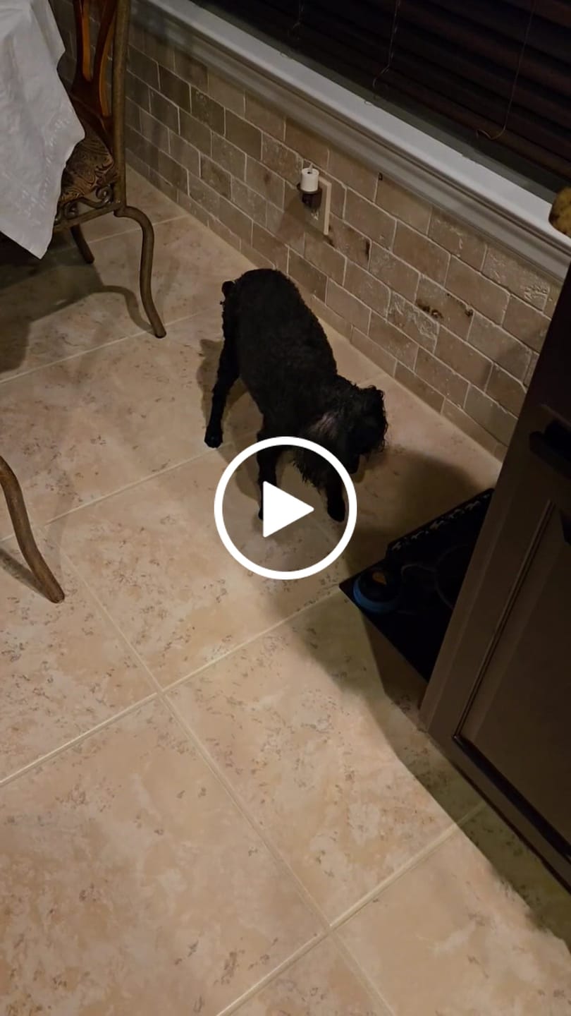 Customer video review of ENTRY PACK LEVEL 4 - 10,500 ENTRIES