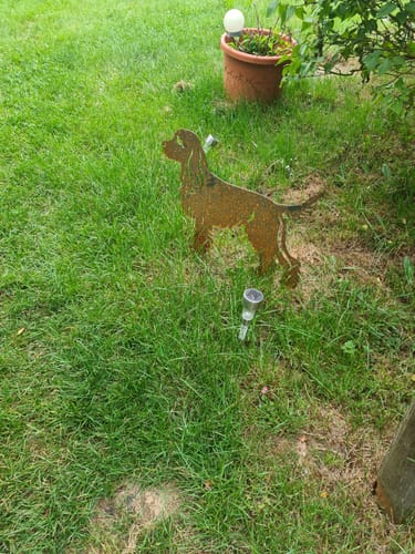 Customer photo review of Gartenstecker Cocker Spaniel