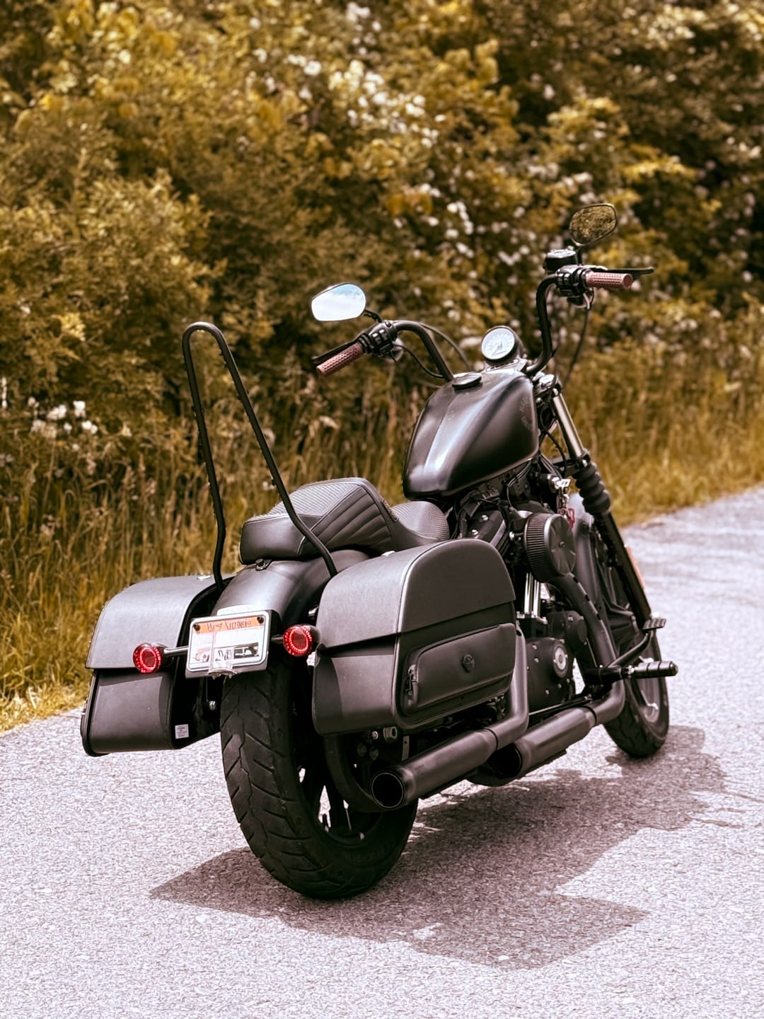 Customer photo review of 32L - Pantheon Large Hard Mount Shock Cutout Saddlebags for Harley Sportster 883 Iron XL883N