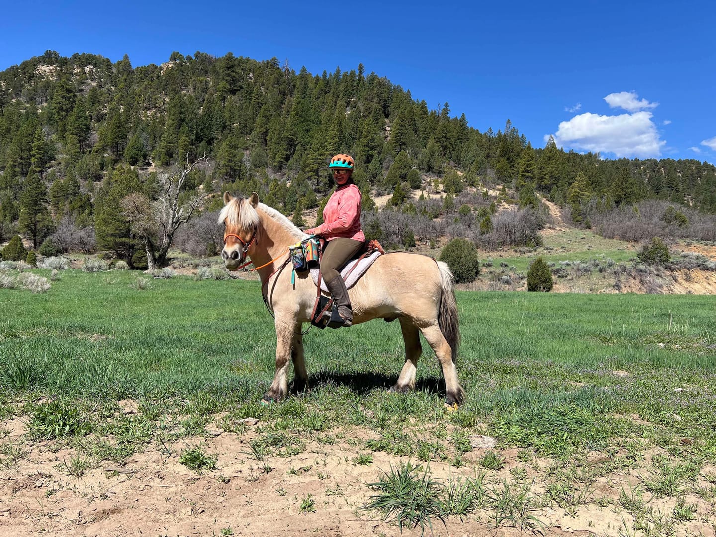 Customer photo review of Renegade® Viper Shield™ Hoof Boot Seconds - Cosmic Orange