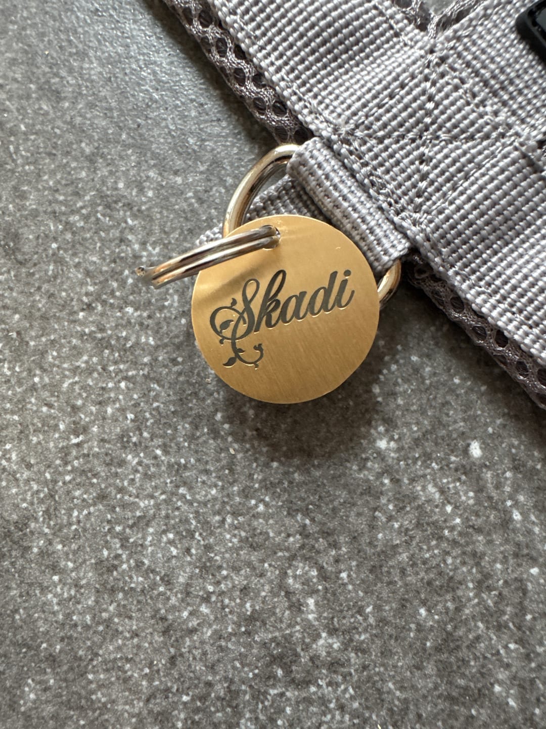 Customer photo review of Runde Hundemarke mit Gravur, Name und Telefon personalisiert