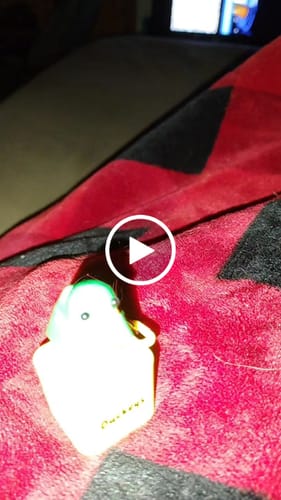 Customer video review of Quackey - Fidget Toy that Quacks!