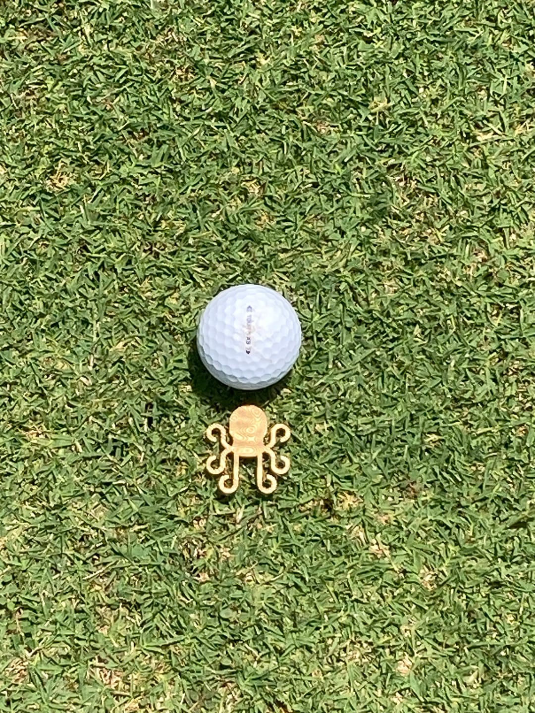 Customer photo review of Kraken Logo Ball Marker - Brass Damascus