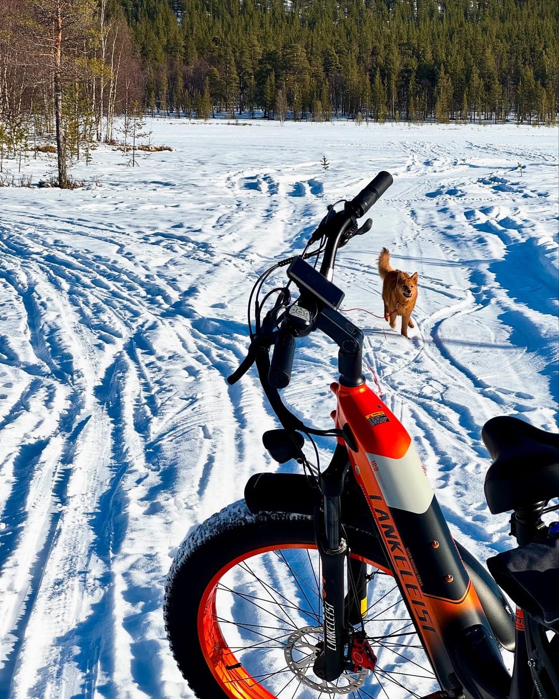 Customer photo review of Lankeleisi MG600 Plus * 2 E-Bikes Bundle