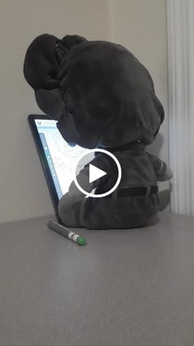 Customer video review of Turn Kid‘s Drawings into Plushies