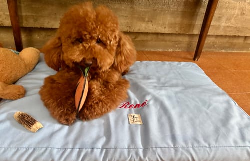 Customer photo review of Materassino Sfoderabile Cotone Unito Siena Azzurro