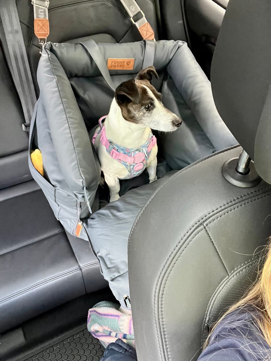Customer photo review of Tough Trails™ Harness -  Whimsical Wildflowers