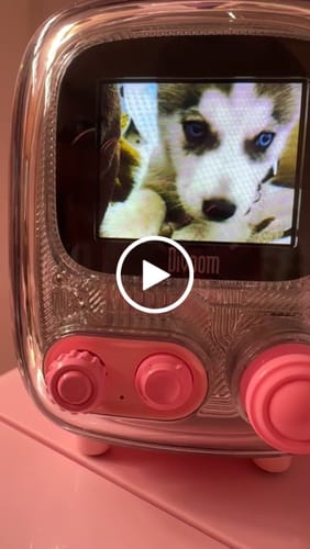 Customer video review of Divoom Tiivoo-2 FM Radio Bluetooth Speaker With Alarm Clock And Upload Photos