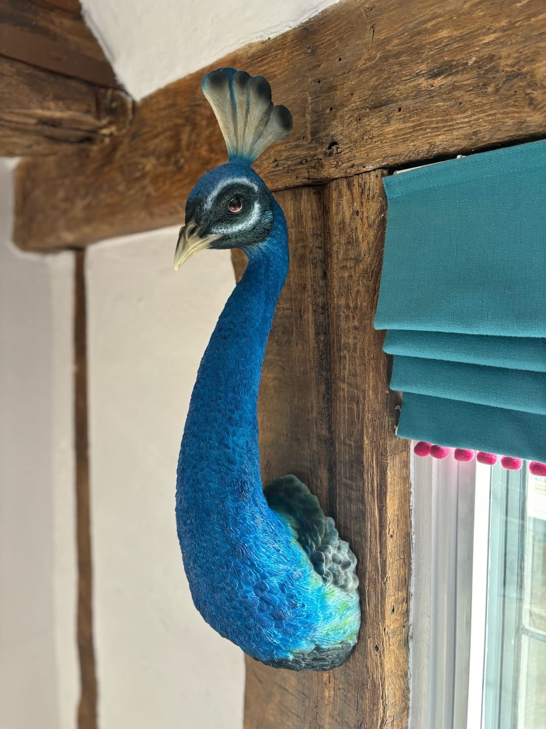 Customer photo review of Peacock Head Wall Figure