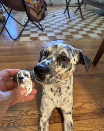 Customer photo review of Personalized Custom Pet Keychain/Magnet